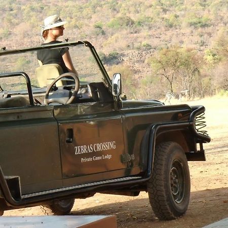 Zebras Crossing Private Game Lodge โมดิมอเลอ ภายนอก รูปภาพ