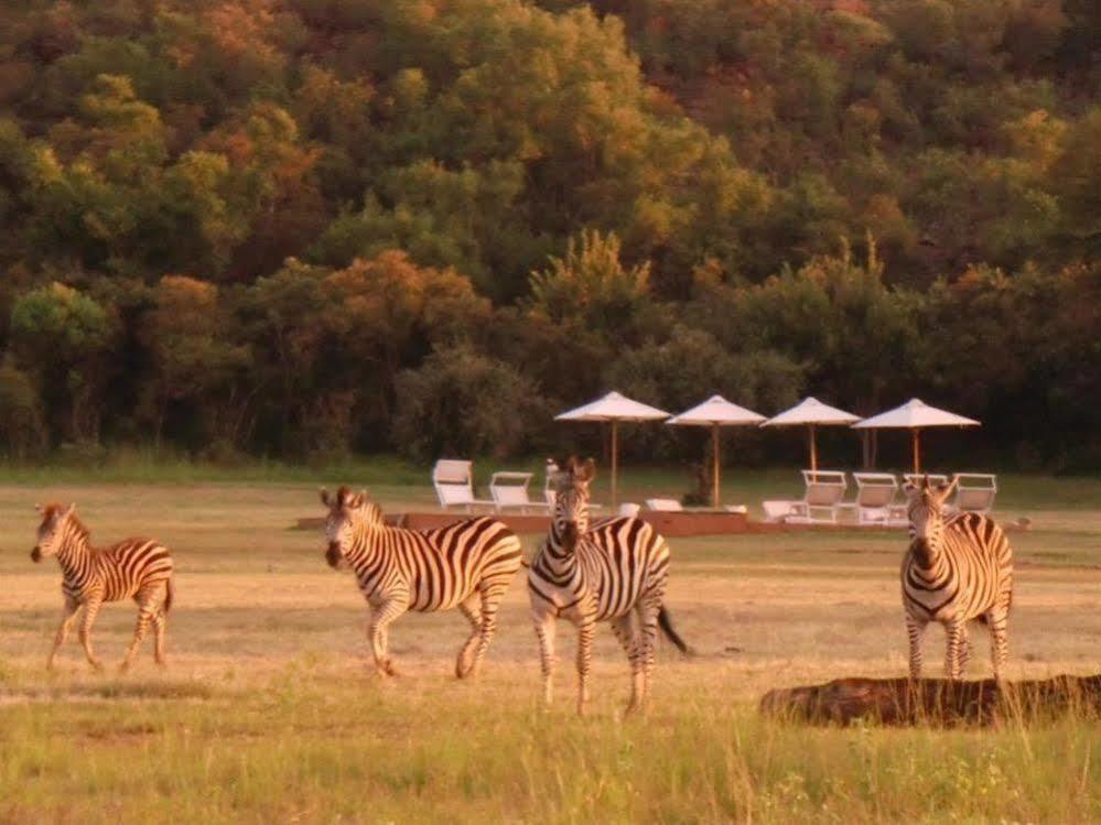 Zebras Crossing Private Game Lodge โมดิมอเลอ ภายนอก รูปภาพ