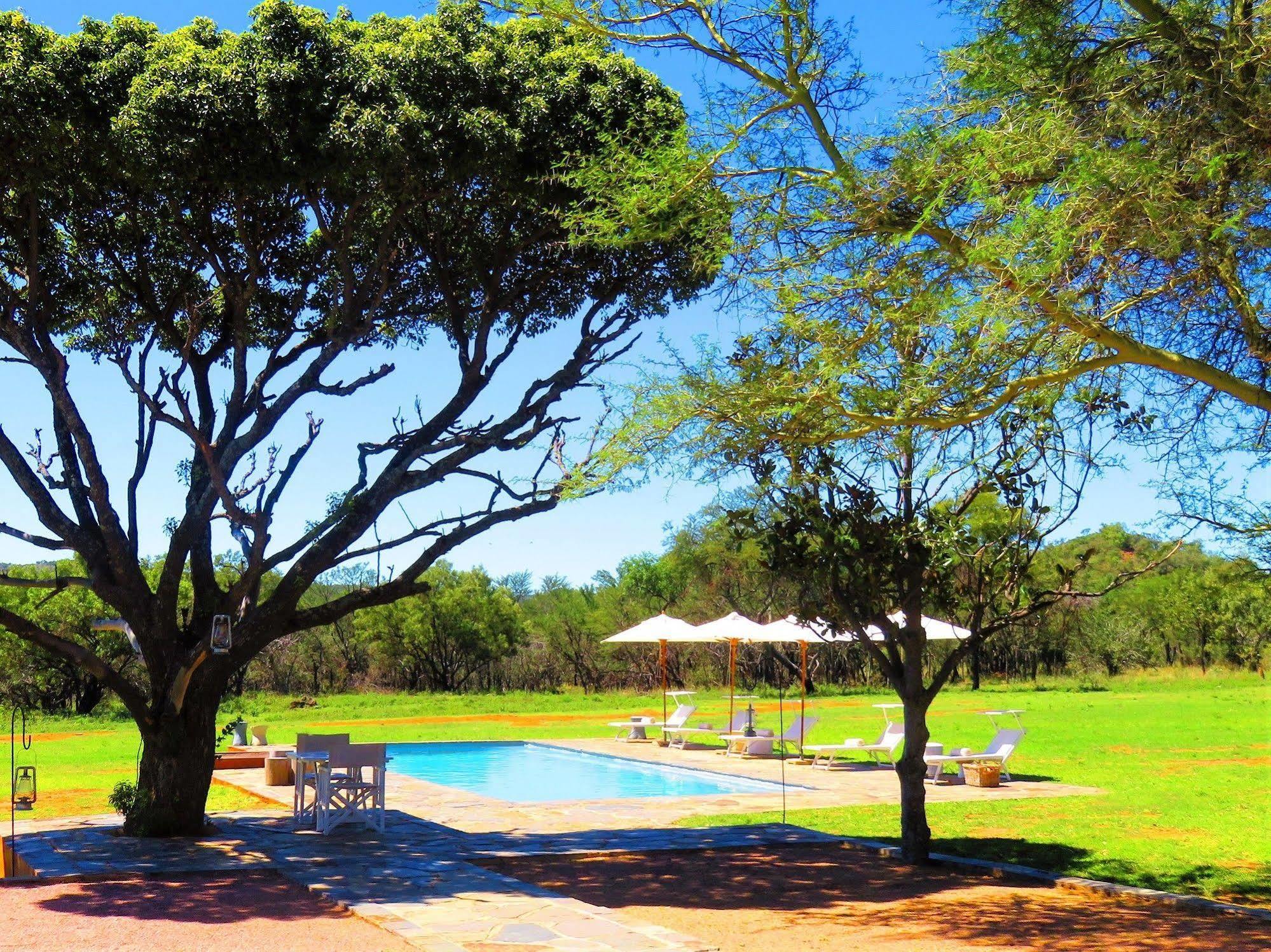 Zebras Crossing Private Game Lodge โมดิมอเลอ ภายนอก รูปภาพ