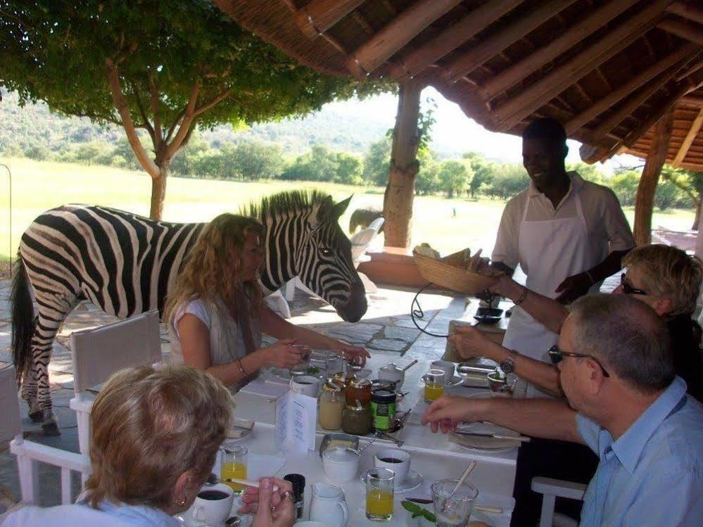 Zebras Crossing Private Game Lodge โมดิมอเลอ ภายนอก รูปภาพ