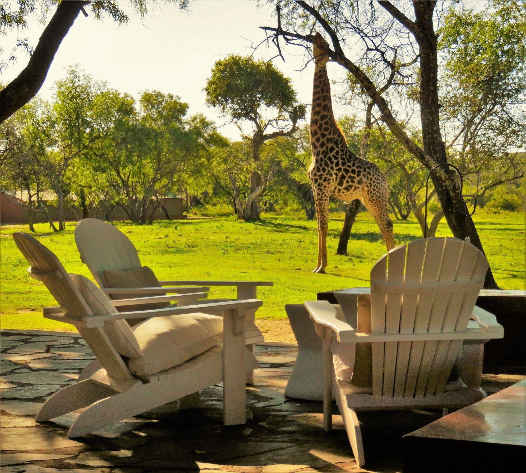 Zebras Crossing Private Game Lodge โมดิมอเลอ ภายนอก รูปภาพ